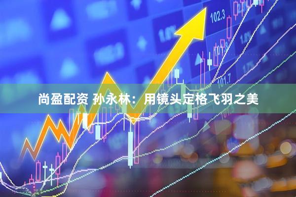 尚盈配资 孙永林：用镜头定格飞羽之美