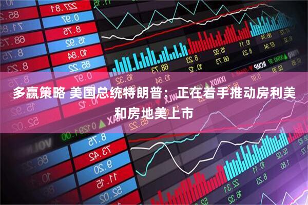 多赢策略 美国总统特朗普：正在着手推动房利美和房地美上市
