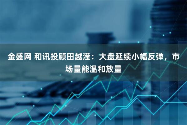 金盛网 和讯投顾田越滢：大盘延续小幅反弹，市场量能温和放量