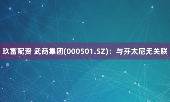 玖富配资 武商集团(000501.SZ)：与芬太尼无关联