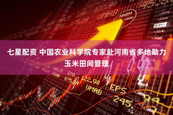 七星配资 中国农业科学院专家赴河南省多地助力玉米田间管理