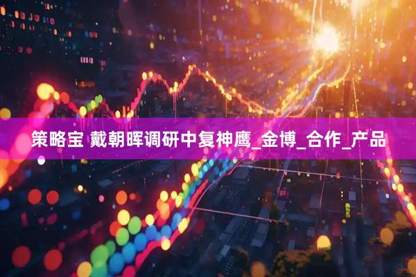 策略宝 戴朝晖调研中复神鹰_金博_合作_产品