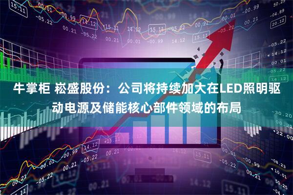 牛掌柜 崧盛股份：公司将持续加大在LED照明驱动电源及储能核心部件领域的布局
