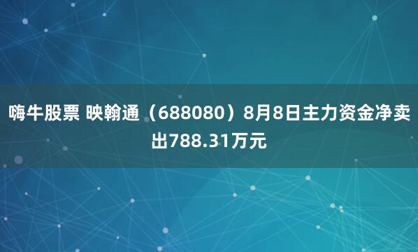 嗨牛股票 映翰通（688080）8月8日主力资金净卖出788.31万元