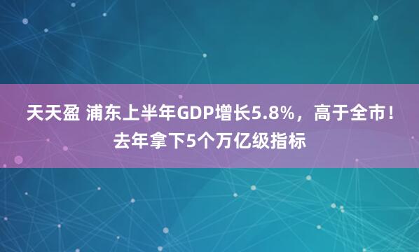 天天盈 浦东上半年GDP增长5.8%，高于全市！去年拿下5个万亿级指标