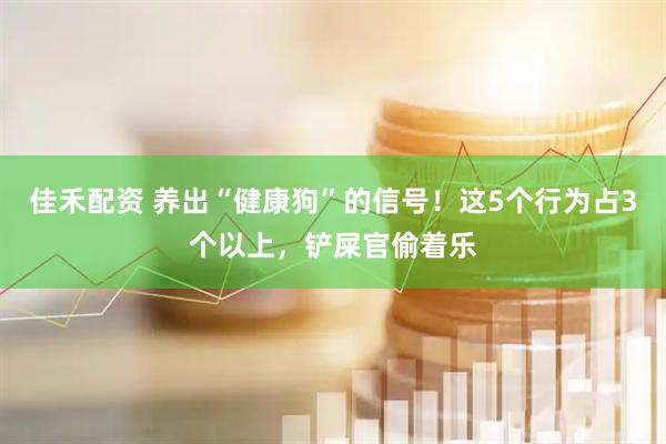 佳禾配资 养出“健康狗”的信号！这5个行为占3个以上，铲屎官偷着乐
