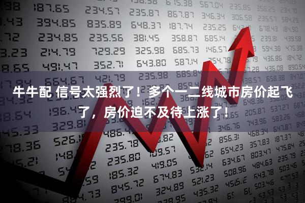 牛牛配 信号太强烈了!多个一二线城市房价起飞了,房价迫不及待上涨了!